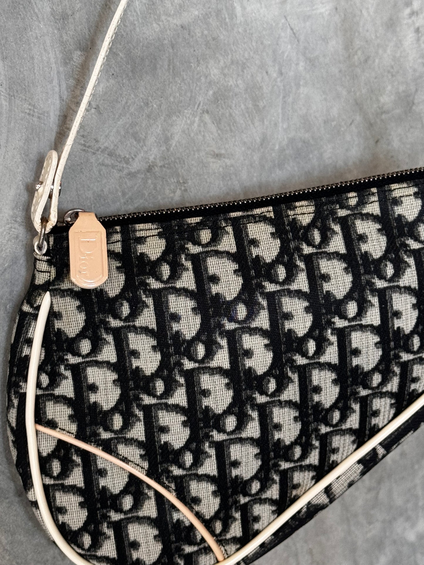 Dior Trotter Saddle Handbag